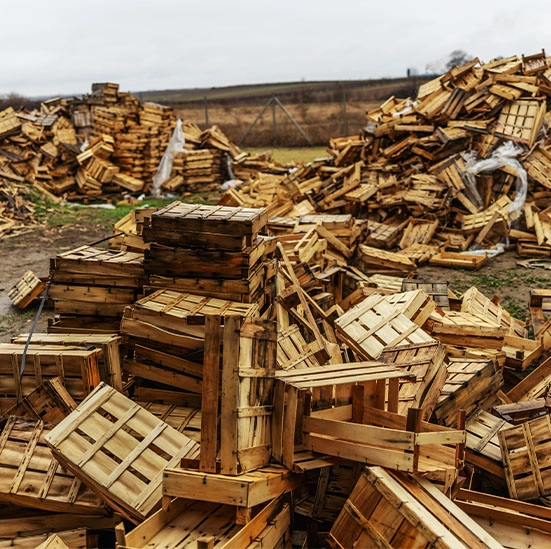 Holz Entsorgen
