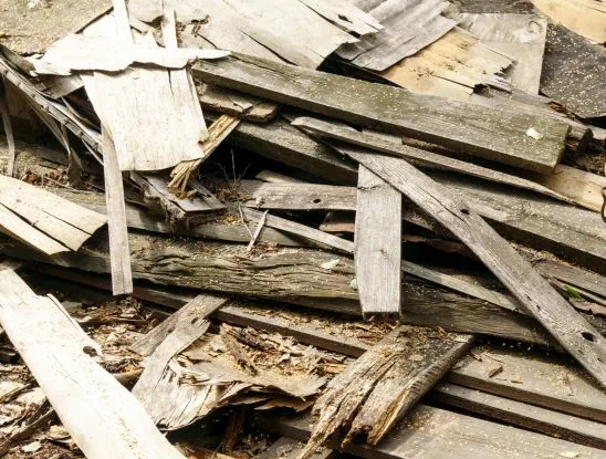 Holz Entsorgen